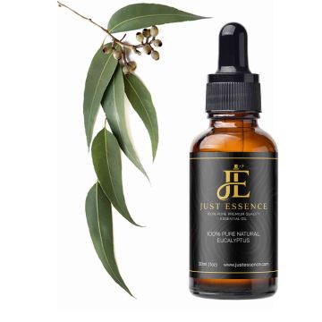 Eucalyptus Essential Oil