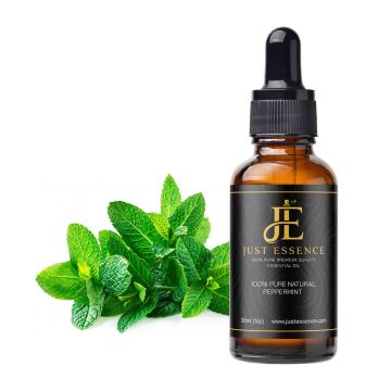 Peppermint Essential Oil