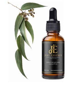 Eucalyptus Essential Oil