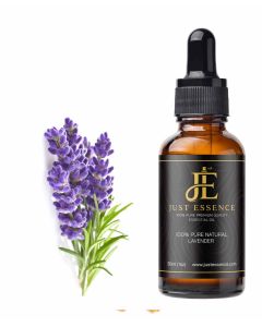Lavender Essential Oil