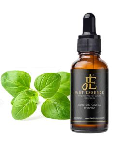 Oregano Essential Oil